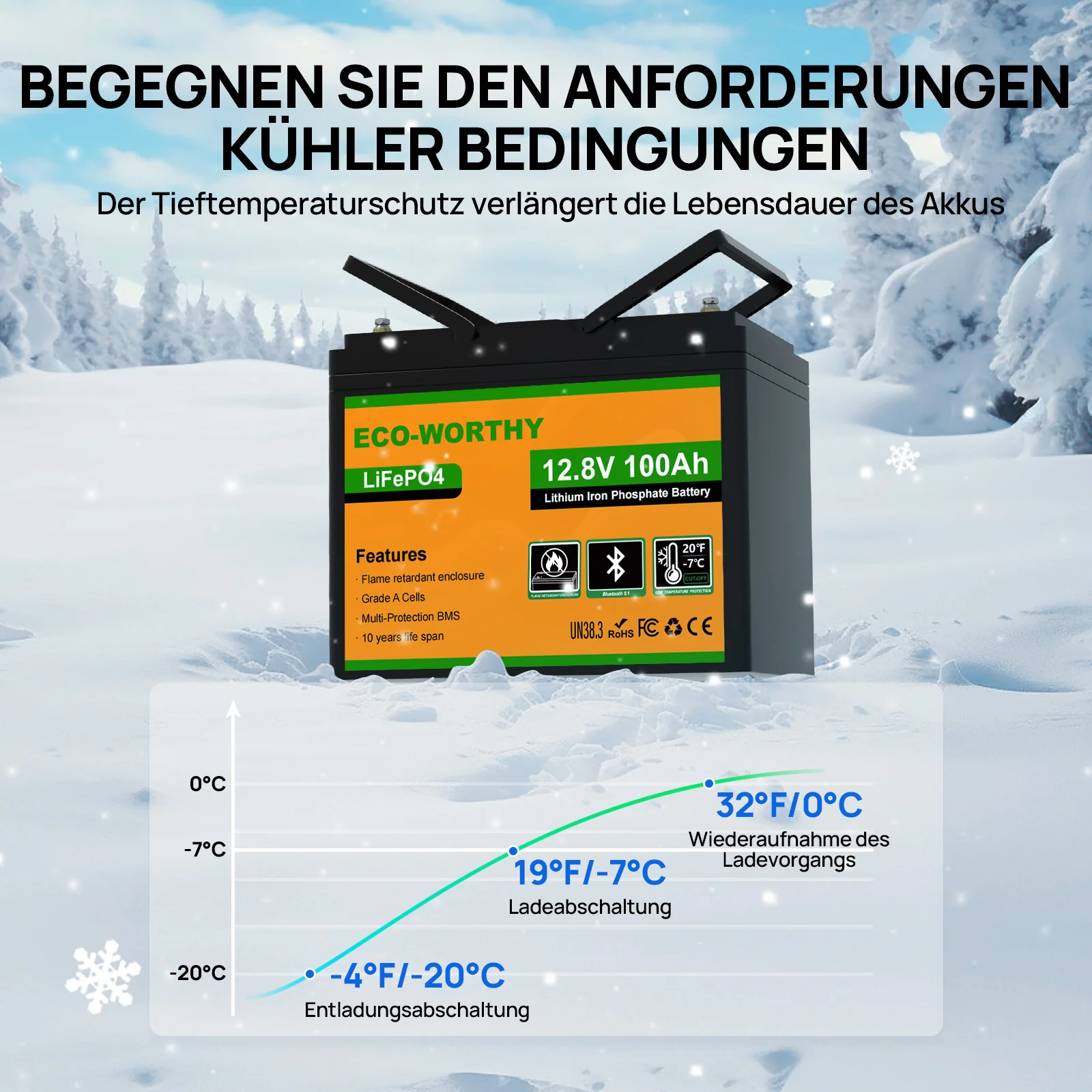 Eco-Worthy 12V 100Ah LiFePO4 Lithium batterie mit Bluetooth und Untertemperaturschutz - Image 3