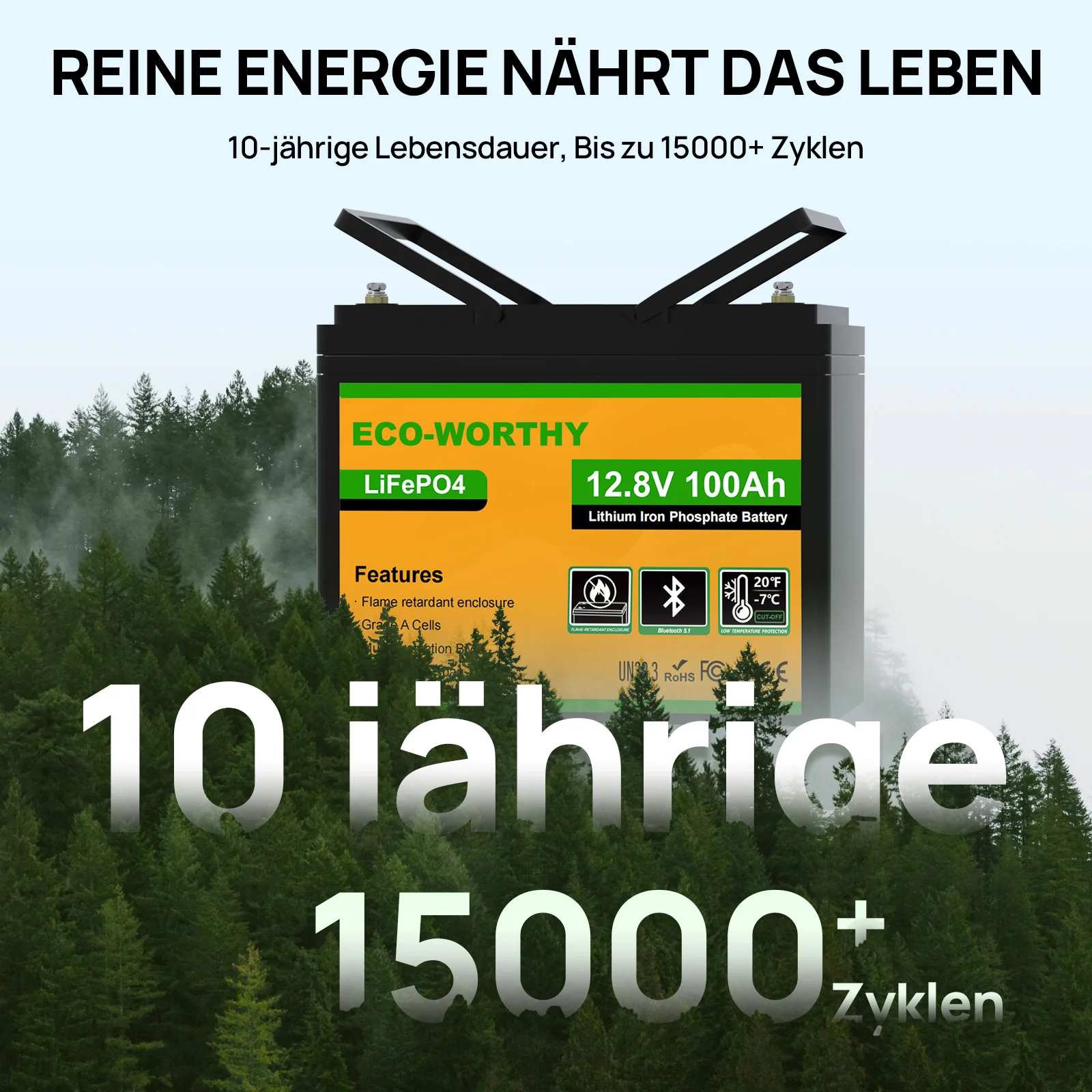 Eco-Worthy 12V 100Ah LiFePO4 Lithium batterie mit Bluetooth und Untertemperaturschutz - Image 7