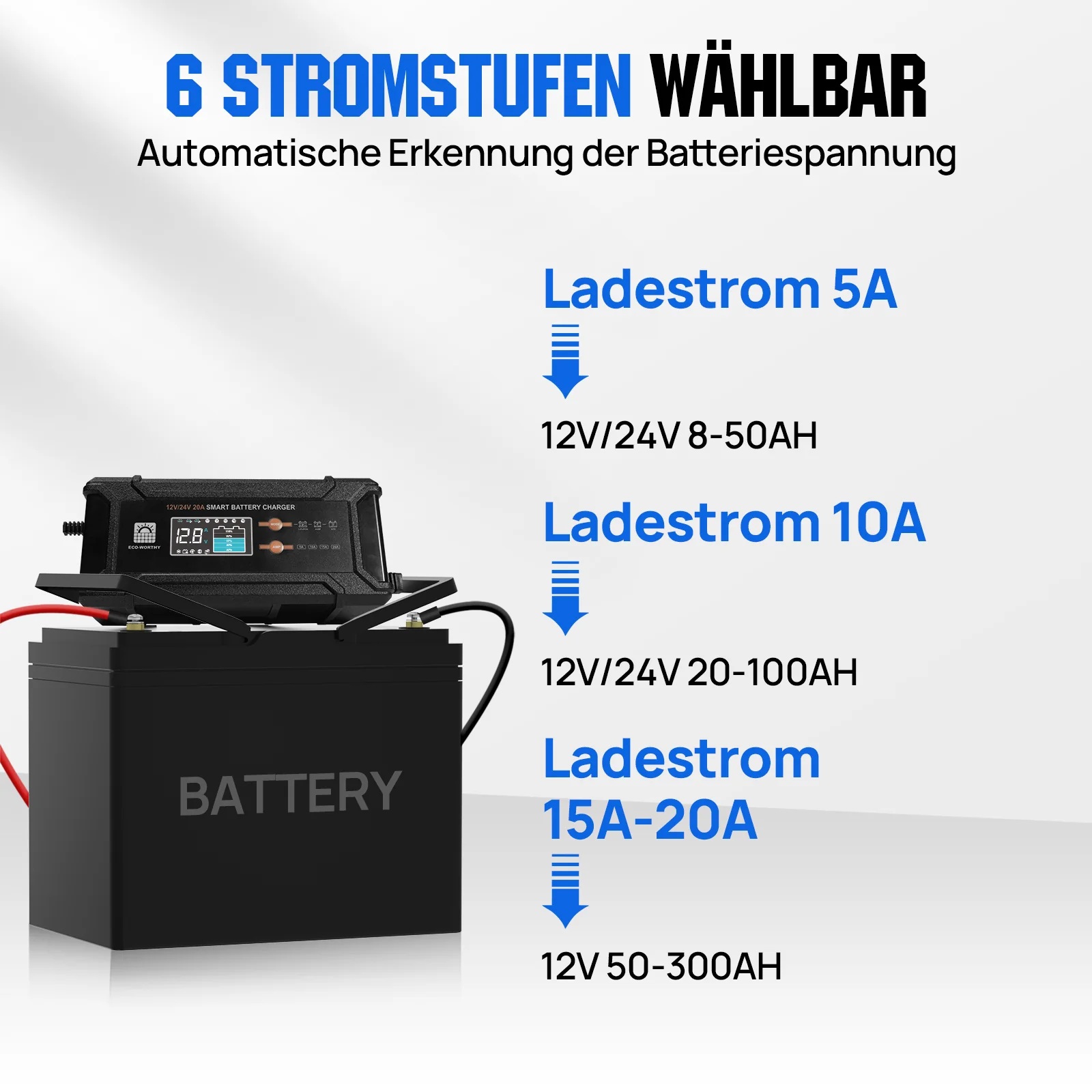 20A 12V/24V intelligentes Batterieladegerät mit LCD-Display für die meisten Batterien - Image 3