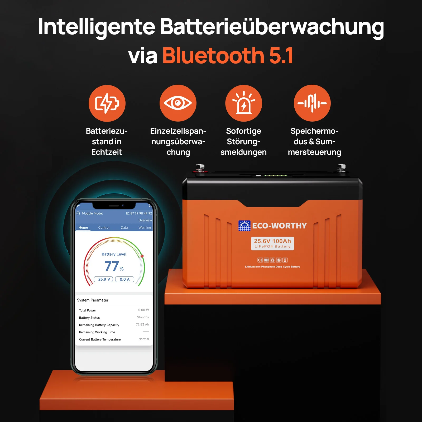 Eco-Worthy Schutz-Serie 24V 100Ah LiFePO4 Lithium Batterie—Bluetooth und Untertemperaturschutz—LED-Statusleuchte - Image 4