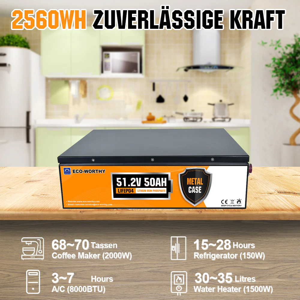 48V 50Ah LiFePO4 Lithium Batterie - Image 16
