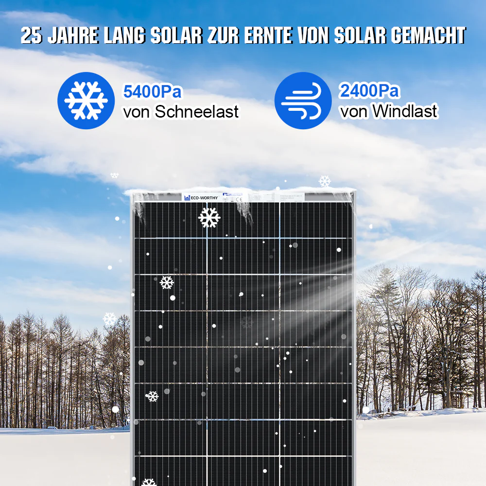 Eco-Worthy 195Wp 12V Bifaziale Solarmodul Monokristallin - Image 5