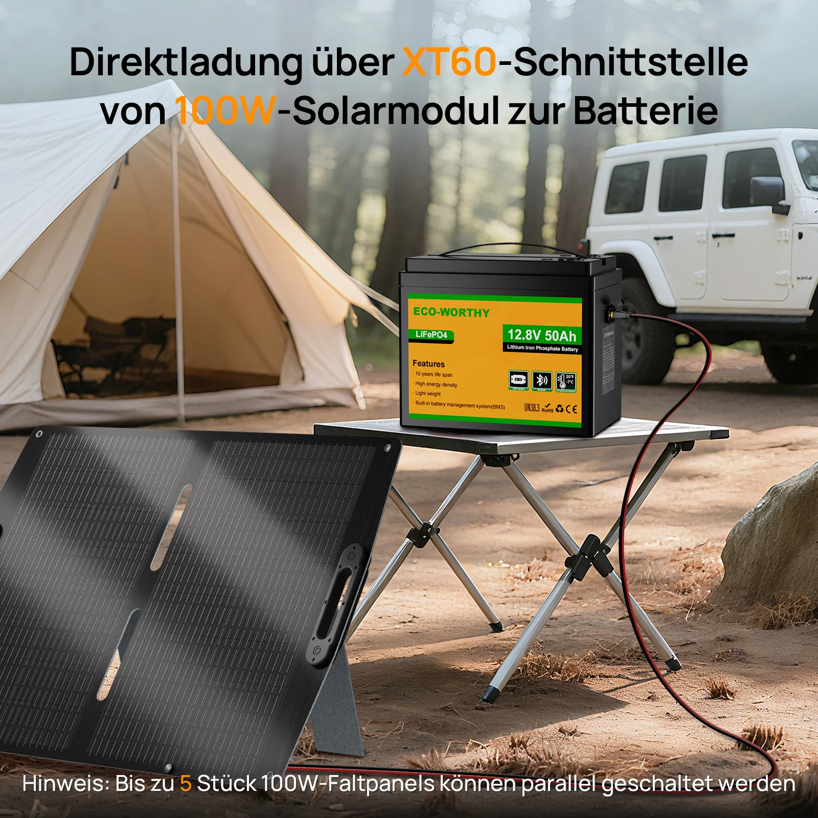 Eco-Worthy  12V 50Ah LiFePO4 XT60 Lithium Batterie mit Bluetooth und Untertemperaturschutz - Image 8